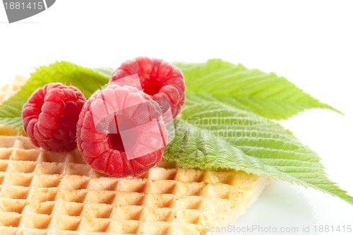 Image of some ripe delicious raspberries