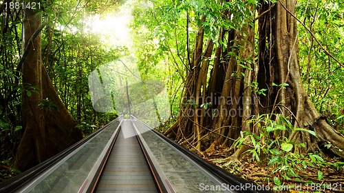 Image of Bring rain forest to your business center