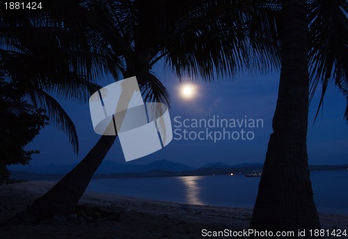Image of Moonlight on the water