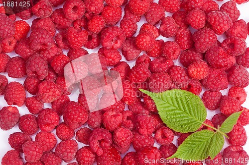 Image of ripe raspberries wallpaper