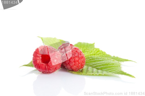 Image of isolated ripe raspberries on white