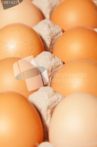 Image of egg box close up