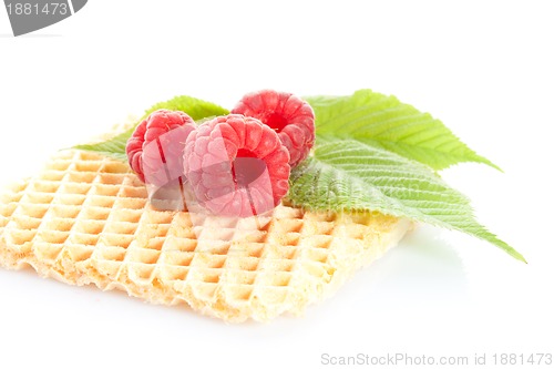 Image of delicious morning snack