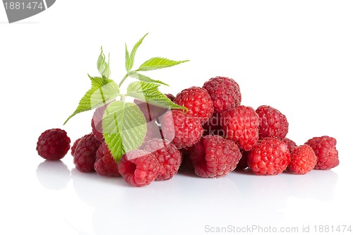 Image of bunch of ripe berries