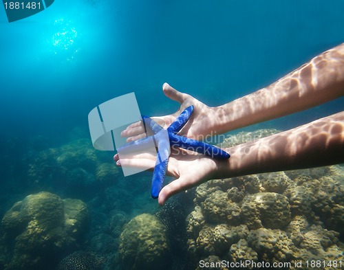 Image of hands holding big blue starfish