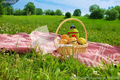 Image of holiday picnic in park