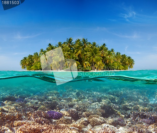 Image of Coral reef and the Island