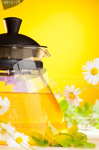 Image of glass teapot with chamomile tea