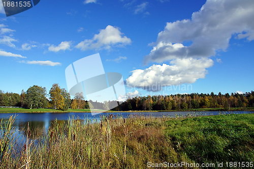 Image of Landscape 