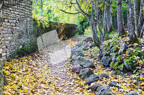 Image of Footpath in fallen down leaves in autumn park