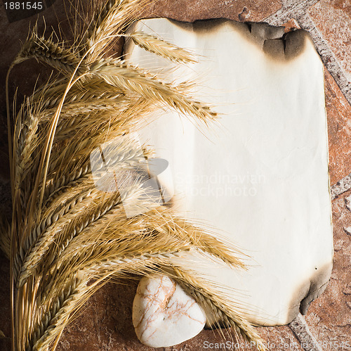 Image of Wheat ears on vintage background 