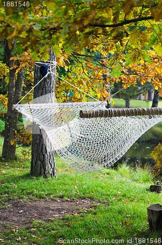 Image of A hammock near the pond in autumn Park 