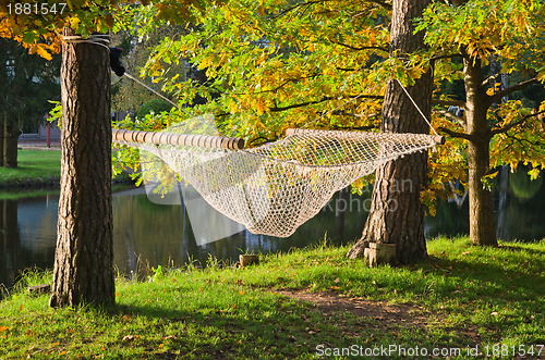 Image of A hammock near the pond in autumn Park 