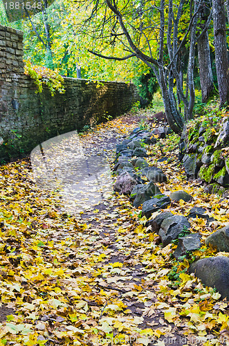 Image of Footpath in fallen down leaves in autumn park