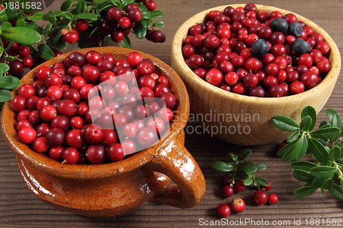 Image of Cranberries