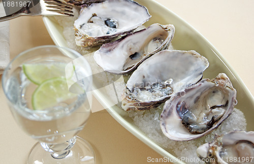 Image of Oysters Natural