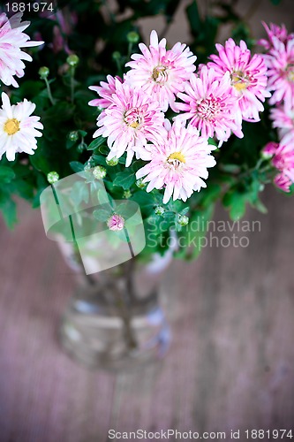 Image of pink chrysanthemum in glass vase