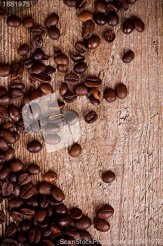 Image of fresh coffee beans