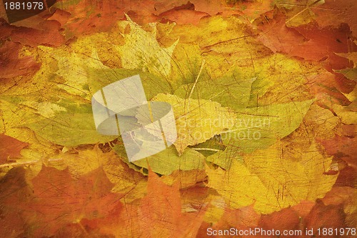 Image of retro composition from autumn leaves