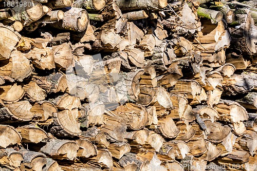 Image of wood in pile outdoor 