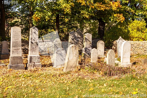 Image of forgotten and unkempt Jewish cemetery with the strangers