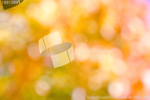 Image of autumnal natural background