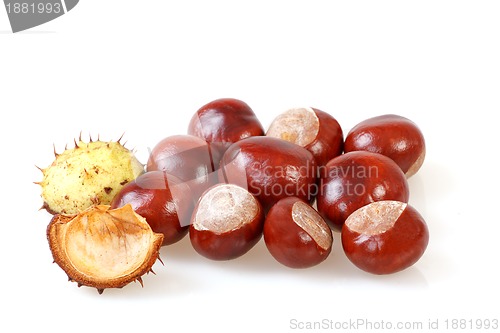 Image of chestnut with crust on a white