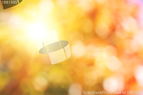 Image of autumnal natural background with sun