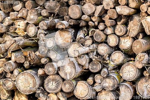 Image of wood in pile outdoor 