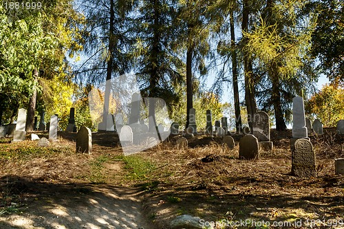 Image of forgotten and unkempt Jewish cemetery with the strangers