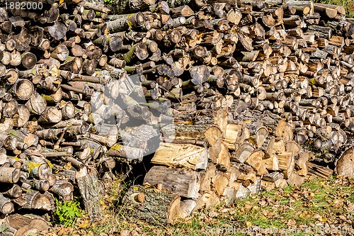Image of wood in pile outdoor 