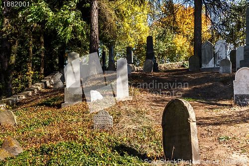 Image of forgotten and unkempt Jewish cemetery with the strangers