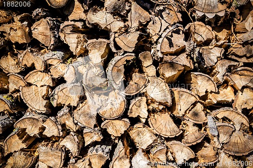 Image of wood in pile outdoor 