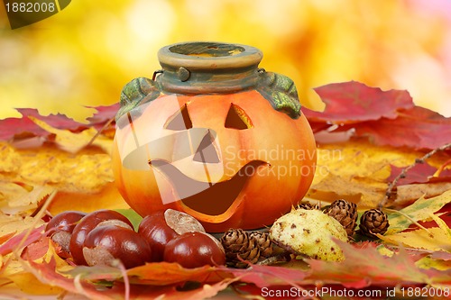 Image of Halloween Pumpkin Lantern