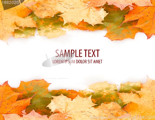 Image of orange autumn leaves frame