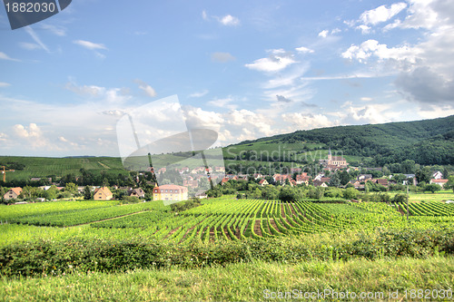Image of Alsace landscape and vinewyard