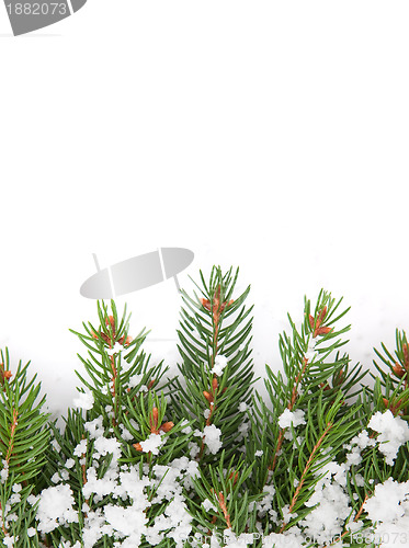 Image of Christmas framework with snow isolated on white background