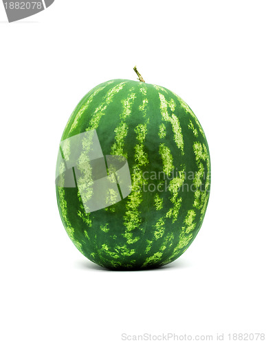 Image of Watermelons