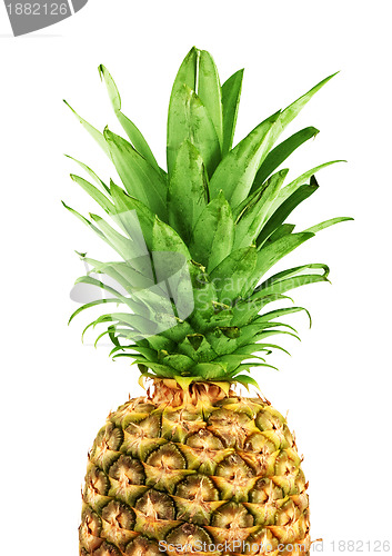 Image of Ripe pineapple