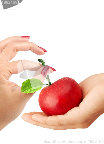 Image of Girl gives the man an apple