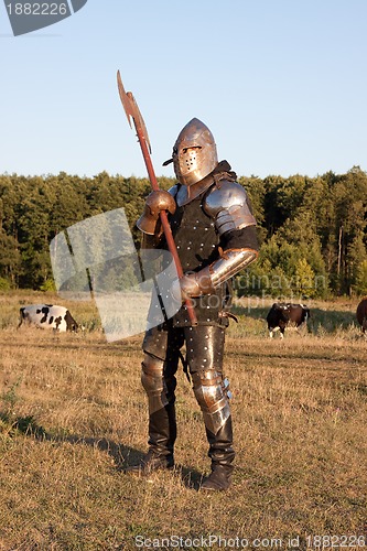 Image of Medieval knight