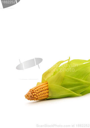 Image of Corns