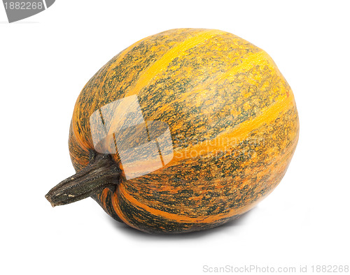 Image of Pumpkin