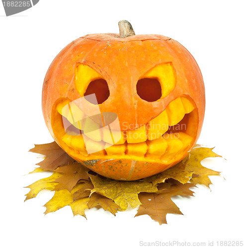 Image of Halloween pumpkin