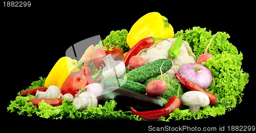 Image of Vegetables