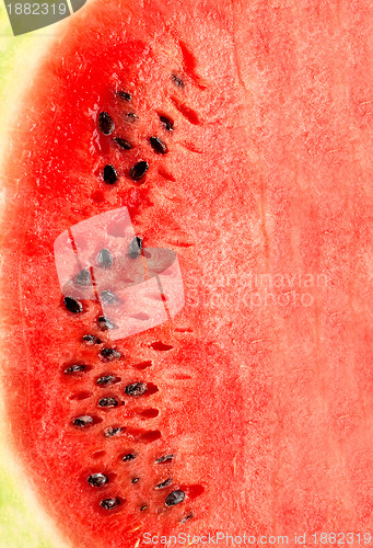 Image of Watermelon