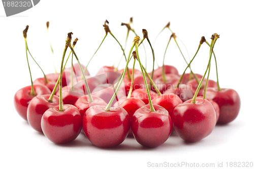 Image of Red cherries