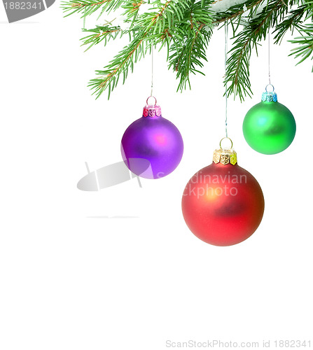 Image of Branches with a Christmas toy