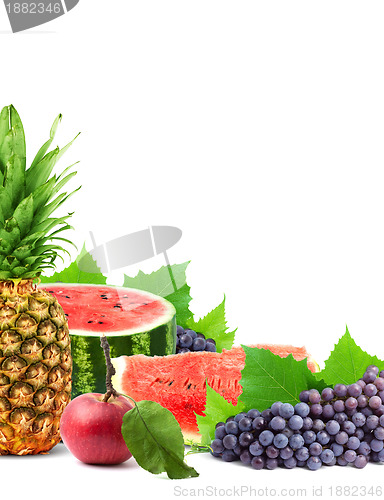 Image of Fresh fruits and vegetables