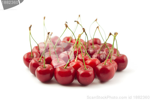 Image of Red cherries